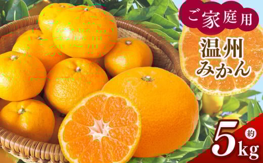 ご家庭用 温州みかん 約5kg 村上農園 | フルーツ 果物 くだもの 柑橘 柑橘類 みかん ミカン 温州ミカン 熊本県 玉名市熊本県玉名市10000果物・フルーツみかん・柑橘類