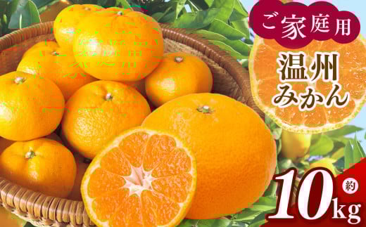 訳あり ご家庭用 温州みかん 約10kg ( 約5kg × 2箱 ) 村上農園 | フルーツ 果物 くだもの 柑橘 柑橘類 ミカン みかん 温州ミカン オレンジ 熊本県 玉名市熊本県玉名市17000果物・フルーツみかん・