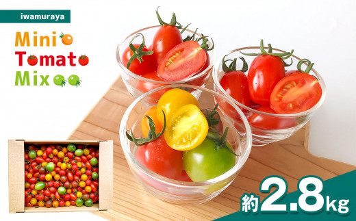 『岩村屋』ミニトマトミックス 約2.8kg | 果物 トマト ミニトマト 熊本 玉名熊本県玉名市13000野菜・きのこトマト