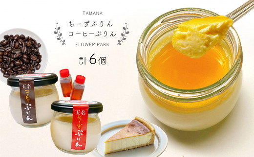 玉名ちーずぷりん ・ 玉名コーヒーぷりん 合計6個 | 菓子 お菓子 おかし 洋菓子 プリン ぷりん チーズプリン ちーずぷりん コーヒープリン コーヒーぷりん セット 熊本県 玉名市熊本県玉名