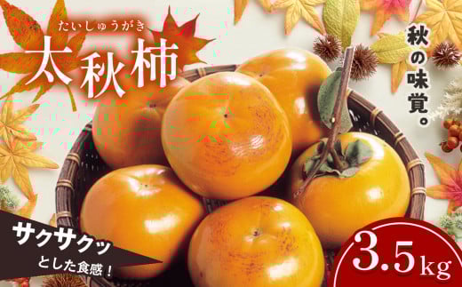 H` 3.5kg  | ʕ  t[c `  JL H { H o F{ ʖsF{ʖs17000ʕEt[c̑ ʕEt[c