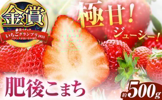 ʌ ƒp  ケ܂ 250g×2pbN | ʕ  t[c   C`S ケ܂ ƒp  F{ ʖsF{ʖs13000ʕEt[c