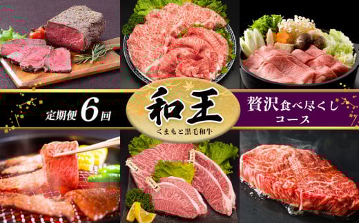 【 定期便 6回 】 和王 贅沢食べ尽くしコース A5 等級 牛肉 | 肉 にく お肉 おにく 牛 和牛 モモスライス 小間切れ 赤身ブロック ウデ モモ 焼肉 肩ローススライス モモステーキ 熊本県 玉名市