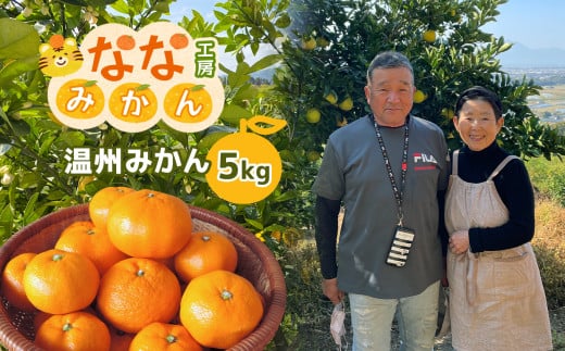 温州みかん 約5kg | フルーツ 果物 くだもの 柑橘 柑橘類 みかん ミカン 温州みかん 温州ミカン 熊本県 玉名市熊本県玉名市14000果物・フルーツみかん・柑橘類