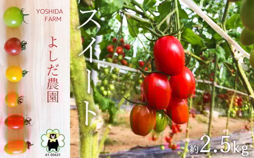 w 悵_ x ~jg}g ( XC[g ) 2.5kg |  ₳ g}g Ƃ܂ F{ ʖsF{ʖs14000؁Êg}g