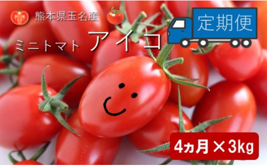 ミニトマト アイコ 【4ヶ月定期便】 | 野菜 やさい トマト とまと みにとまと 熊本県 玉名市 定期 定期便熊本県玉名市62000野菜・きのこトマト