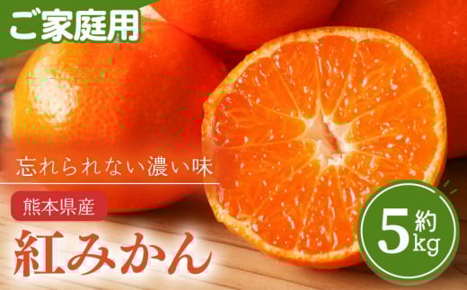 熊本県産 家庭用 紅みかん 約 5kg 下田農園 | フルーツ 果物 くだもの 柑橘 柑橘類 みかん ミカン 熊本県 玉名市熊本県玉名市14000果物・フルーツみかん・柑橘類