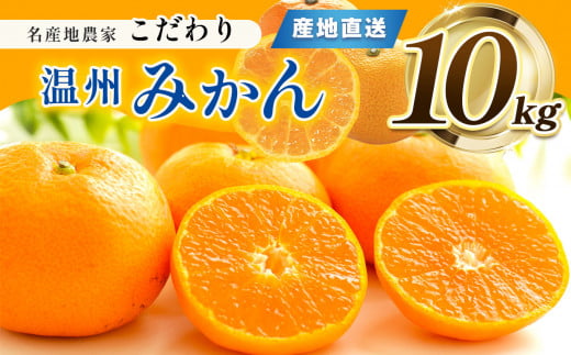 熊本県産 こだわり みかん 約 10kg 下田農園 | フルーツ 果物 くだもの 柑橘 柑橘類 ミカン みかん 熊本県 玉名市熊本県玉名市20000果物・フルーツみかん・柑橘類