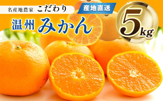 熊本県産 こだわり みかん 約 5kg 下田農園 | フルーツ 果物 くだもの 柑橘 柑橘類 ミカン みかん 熊本県 玉名市熊本県玉名市14000果物・フルーツみかん・柑橘類