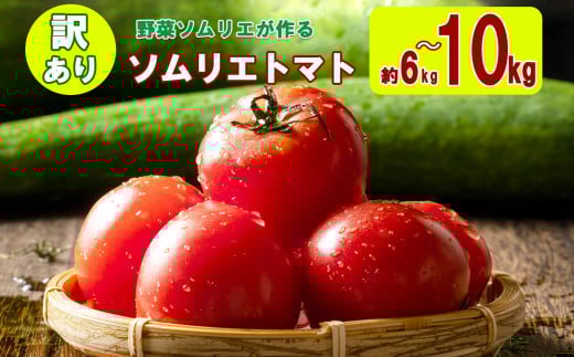 【特別栽培農産物】大玉 訳あり ソムリエトマト 約 6kg 〜 10kg (約3kg〜5kg × 2箱) | 野菜 やさい トマト とまと 銀賞 熊本県 玉名市熊本県玉名市14000野菜・きのこトマト