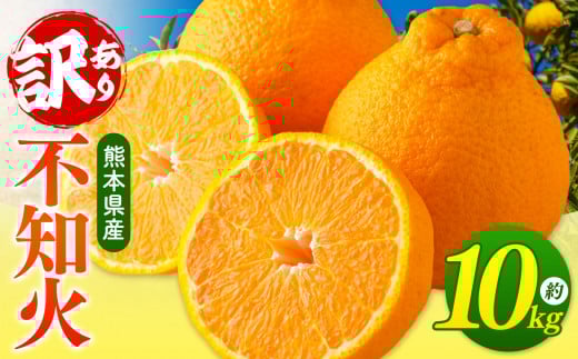 【 ご家庭用 訳あり 】 不知火 10kg ( デコポン と 同品種 ) | 果物 くだもの フルーツ 柑橘 柑橘類 みかん 訳あり でこみかん 熊本県産 生産量全国一位!熊本県玉名市17000果物・フルーツみか