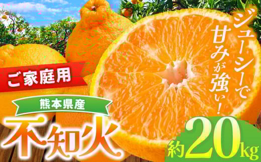 『 かめまる食堂 』 熊本県産 ご家庭用 不知火 約 20kg ( デコポン と同品種 ) | 果物 くだもの フルーツ 柑橘 柑橘類 みかん 訳あり でこみかん 熊本県産 生産量全国一位!熊本県玉名市38000果