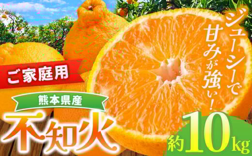 『 かめまる食堂 』 熊本県産 ご家庭用 不知火 約 10kg ( デコポン と同品種 ) | 果物 くだもの フルーツ 柑橘 柑橘類 みかん 訳あり でこみかん 熊本県産 生産量全国一位!熊本県玉名市20000果