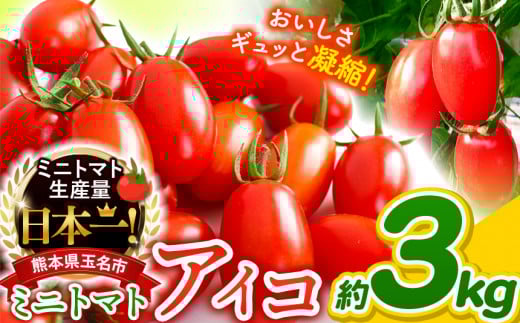 ミニトマト アイコ 約 3kg サザキ農園 | 野菜 やさい トマト とまと ミニトマト アイコ 熊本県 玉名市 生産量 日本一 玉名市 !!熊本県玉名市10000野菜・きのこトマト