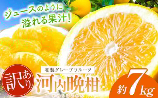 訳あり 河内晩柑 約 7kg 後藤農園 | 柑橘 みかん 晩柑 河内晩柑  フルーツ 晩柑 ジューシー 河内晩柑 家庭用 和製 グレープフルーツ 果物 熊本県産熊本県玉名市9000果物・フルーツみかん・柑橘