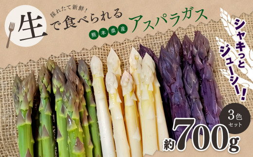 生で食べれる ? アスパラガス 3色 セット( グリーン ・ホワイト ・ パープル  )約 700g| 野菜 アスパラ ソムリエ 新鮮 健康 熊本県産 熊本 玉名 くまもと たまな熊本県玉名市11000野菜・きの