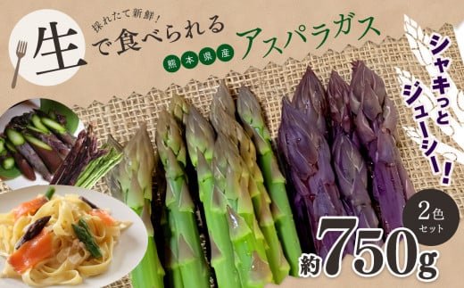 生で食べれる ? アスパラガス 2色 セット( グリーン ・ パープル  )約 750g |野菜 アスパラ ソムリエ 新鮮 健康 熊本県産 熊本 玉名 くまもと たまな熊本県玉名市11000野菜・きのこその他 野