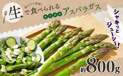 生で食べれる ? アスパラガス ( グリーン )約 800g | 野菜 アスパラ ソムリエ 新鮮 健康 熊本県産 熊本 玉名 くまもと たまな熊本県玉名市11000野菜・きのこその他 野菜