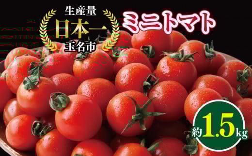 ミニトマト 生産量 日本一 玉名市 !! ミニトマト 約 1.5kg | ミニトマト 野菜 トマト プチトマト 熊本県 玉名市 くまもと たまな熊本県玉名市7000野菜・きのこトマト