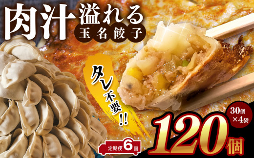 【 定期便 6回 】タレ不要? 肉汁 溢れる『 玉名餃子 』 120個 (30個×4袋)| 餃子 ぎょうざ お手軽 小分け 冷凍 冷凍食品 おかず 豚肉熊本県玉名市77000鍋セット・総菜・加工食品総菜