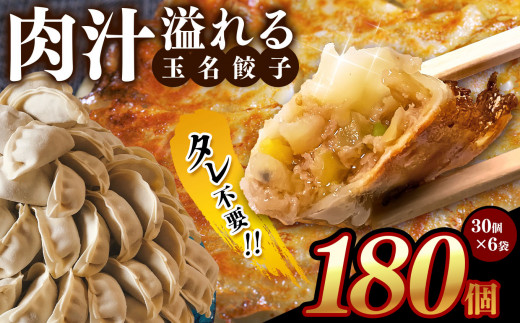 タレ不要? 肉汁 溢れる『 玉名餃子 』 180個 (30個×6袋)| 餃子 ぎょうざ お手軽 小分け 冷凍 冷凍食品 おかず 豚肉熊本県玉名市18000鍋セット・総菜・加工食品総菜