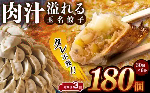 【 定期便 3回 】タレ不要? 肉汁 溢れる『 玉名餃子 』 180個 (30個×6袋)| 餃子 ぎょうざ お手軽 小分け 冷凍 冷凍食品 おかず 豚肉熊本県玉名市52000鍋セット・総菜・加工食品総菜
