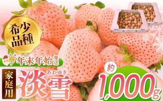 yNNnzƒpW 1000g b t[c ʕ  W F{ ʖF{ʖs12000ʕEt[c