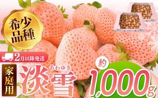 【2月以降発送】ご家庭用淡雪 約1000g | フルーツ 果物 いちご 淡雪 熊本 玉名熊本県玉名市10000果物・フルーツいちご