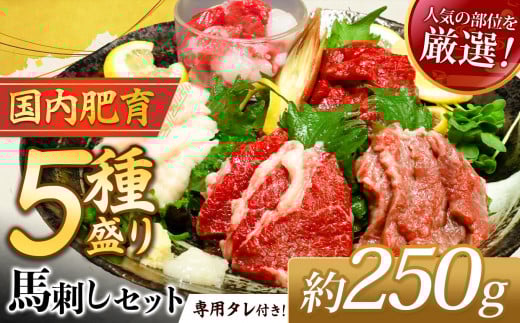 { F{ nh  5퐷250gi50g×5Pjp^t | n nh Ԑg ~ t^GS nЂ R[l F{ʖs13000WrG