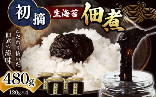 初摘 生海苔 佃煮 120g×4 | 魚貝類 海産物 海の幸 海苔 のり 海苔の佃煮 熊本県 玉名市熊本県玉名市13000魚介・海産物のり・海藻