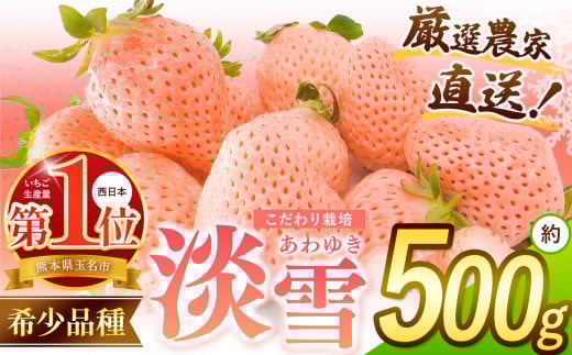 C`S Y  { ? I_ƒ  W  500g | t[c ʕ      W F{ ʖsF{ʖs12000ʕEt[c