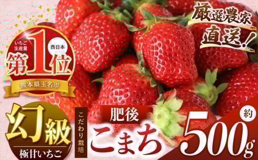 C`S Y  { ? I_ƒ  ケ܂  500g | t[c ʕ    F{ ʖsF{ʖs13000ʕEt[c