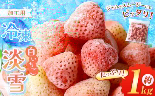 Ⓚ   W  1kg | ʕ t[c  C`S X[W[ W Hp  ACXF{ʖs10000ʕEt[c