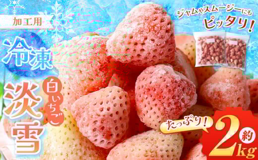 Ⓚ   W  2kg | ʕ t[c  C`S X[W[ W Hp  ACXF{ʖs15000ʕEt[c