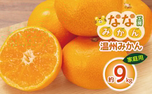 【 家庭用 】  温州みかん 9kg | フルーツ 果物 くだもの 柑橘 柑橘類 みかん ミカン 温州みかん 温州ミカン 熊本県 玉名市熊本県玉名市16000果物・フルーツみかん・柑橘類