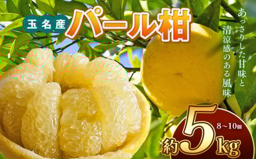 パール柑 熊本 玉名産 約5kg 水本オレンジガーデン | フルーツ 果物 くだもの 柑橘 柑橘類 ミカン みかん パール柑 熊本県 玉名市熊本県玉名市15000果物・フルーツみかん・柑橘類