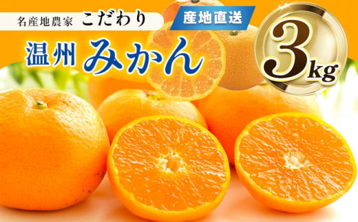 熊本県産 こだわりみかん 約3s | 果物 くだもの フルーツ 柑橘 柑橘類 みかん ミカン 熊本県 玉名市熊本県玉名市9000果物・フルーツみかん・柑橘類