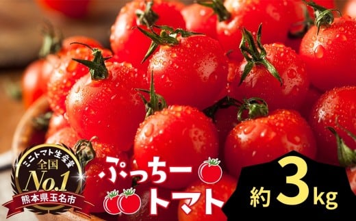 Ղ[g}g ~jg}g 3kg |  ₳ ~jg}g ~j Ƃ܂ g}g 3kg Rs F{ ʖsF{ʖs13000؁Êg}g