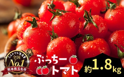 Ղ[g}g ~jg}g 1.8kg |  ₳ ~jg}g ~j Ƃ܂ g}g 1.8kg Rs F{ ʖsF{ʖs9000؁Êg}g
