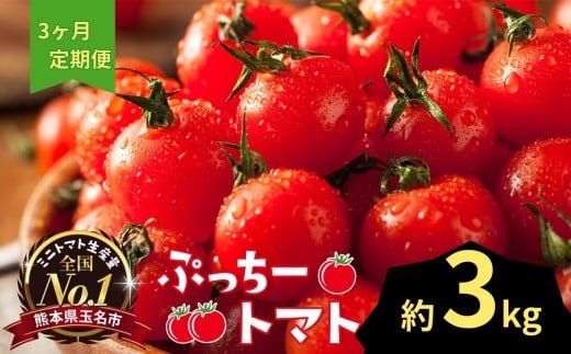 Ղ[g}g ~jg}g 3kg×3  |  ₳ ~jg}g ~j Ƃ܂ g}g 3kg 3  Rs F{ ʖsF{ʖs38000؁Êg}g