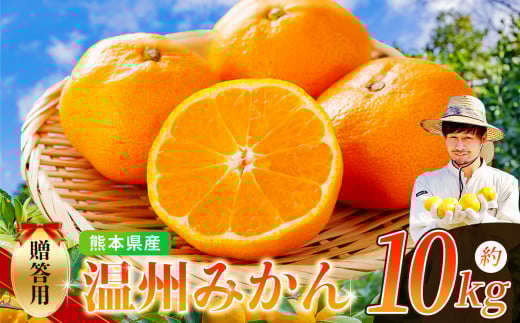 ノナカ柑橘農園 の 温州みかん 10kg | フルーツ 果物 くだもの 柑橘 みかん ミカン 温州ミカン 熊本県 玉名市熊本県玉名市17000果物・フルーツみかん・柑橘類