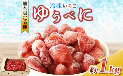 Ⓚ   䂤ׂ  1kg b t[c ʕ V[xbg ACX C`S   Ԃ F{ ʖsF{ʖs9000ʕEt[c