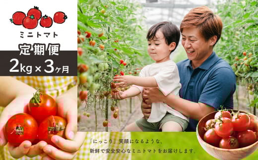 【 定期便 】 ミニトマト2kg×3ヶ月 | 野菜 やさい ミニトマト トマト とまと 定期便 2kg 3回 熊本県 玉名市熊本県玉名市29000野菜・きのこトマト