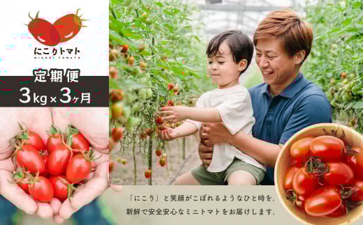 【 定期便 】 にこりトマト3kg×3ヶ月 | 野菜 やさい ミニトマト トマト とまと アイコ 定期便 3kg 3回 熊本県 玉名市熊本県玉名市40000野菜・きのこトマト