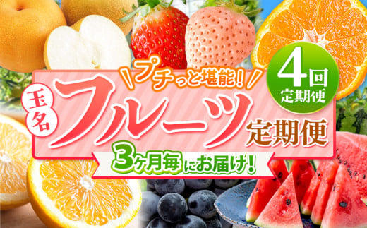 【 定期便 4回 】 3ヵ月毎にお届け!プチっと 堪能 ! 人気 フルーツ ( いちご 白いちご みかん 不知火 スイカ ぶどう 梨 柿 果物 )| 果物 くだもの フルーツ 定期 熊本県 玉名市熊本県玉名