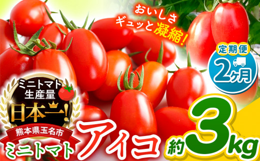 【 定期便 2回 】ミニトマト アイコ 約 3kg サザキ農園 | 野菜 やさい トマト とまと ミニトマト アイコ 熊本県 玉名市 生産量 日本一 玉名市 !!熊本県玉名市20000野菜・きのこトマト