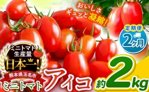 【 定期便 2回 】ミニトマト アイコ 約 2kg サザキ農園 | 野菜 トマト 熊本 サザキ農園 ミニトマト 生産量 日本一 玉名市 !! くまもと たまな熊本県玉名市16000野菜・きのこトマト