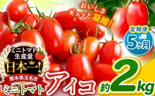 【 定期便 5回 】ミニトマト アイコ 約 2kg サザキ農園 | 野菜 トマト 熊本 サザキ農園 ミニトマト 生産量 日本一 玉名市 !! くまもと たまな熊本県玉名市40000野菜・きのこトマト