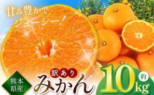 こだわり栽培 訳あり みかん 約 10kg iFARM 岩城農園 | フルーツ 果物 くだもの 柑橘類 柑橘 みかん ミカン 訳アリ ご家庭用 家庭用 10キロ 熊本県 玉名市熊本県玉名市12000果物・フルーツみかん