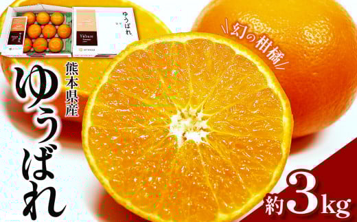 ゆうばれ ( 熊本EC12 ) 約 3kg | 果物 くだもの フルーツ 柑橘 柑橘類 旬 味覚 熊本県 玉名市熊本県玉名市19000果物・フルーツみかん・柑橘類